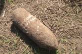 На Николаевщине мужчина в своем огороде нашел артиллерийский снаряд и мину