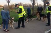 В Николаеве за выгул собак без намордников начали составлять протоколы