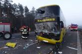 В Польше автобус с украинцами врезался в прицеп трактора, перевозивший цирковых животных