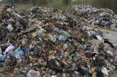 Львовский мусор снова путешествует по Украине