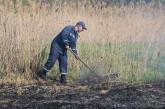 В микрорайоне Лески в Николаеве горел камыш