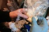 В центре Николаева поймали «закладчика» наркотиков и нашли его нарколабораторию