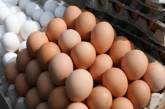 Украина стала основным поставщиком яиц в Европу