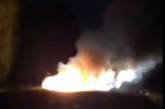 «П@#р@с#, тушите!»: на николаевской трассе дотла сгорел автомобиль. ВИДЕО