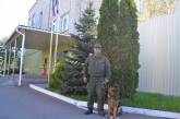 В Южноукраинске гвардеец со служебной собакой за 40 минут нашли пропавшего ребенка
