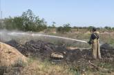 На Николаевщине из-за человеческой халатности горел Балабановский лес
