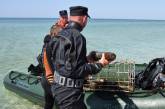 «Отголоски прошлого», - обследуя Кинбурнскую косу спасатели обнаружили 86 опасных боеприпасов 