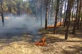 В Николаеве горит Матвеевский лес