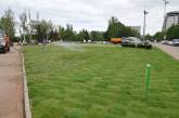 На Соборной площади в Николаеве закончили укладку зеленого газона