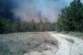 Масштабный лесной пожар в Херсонской области локализован