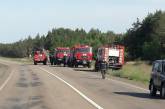 Пожар в Херсонской области: горит 50 га леса, к тушению привлечена авиация