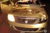 На трассе Киев – Харьков автомобиль столкнулся с лосем, погиб один человек