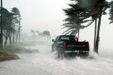 В США погибли два репортера, делающие репортаж об урагане Альберто