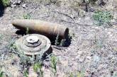 На Николаевщине пиротехники уничтожили противотанковую, минометную мины и  артснаряд