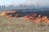 По всей Украине объявили 5-й уровень пожарной опасности
