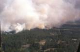 Пожар в херсонском лесу тушили почти неделю - помогали даже николаевские спасатели