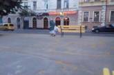 В центре Черновцов старушка украла скамейку. ВИДЕО