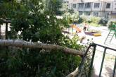 В Одессе на две детские площадки рухнули ветки деревьев