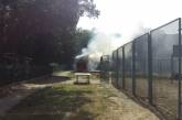 В Николаеве у детского сада горело заброшенное здание: едва не пострадали дети
