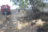 В селе на Николаевщине из-за баловства ребенка горели огороды на двух улицах