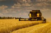 Хлеборобы Николаевщины намолотили  76 тыс тонн зерна нового урожая
