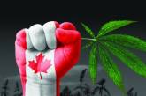 В Канаде приняли закон о легализации марихуаны, но не знают, когда он вступит в силу