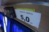 В Николаеве с 1 июля повысят стоимость проезда в маршрутках 