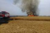 На Николаевщине пожар уничтожил несколько гектаров пшеницы