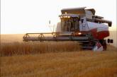 В Николаевской области намолотили 330 тысяч тонн зерна нового урожая