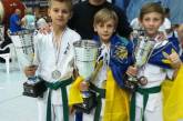 Юный николаевец стал чемпионом мира по киокушин каратэ