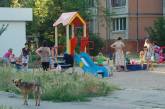 В Николаеве прямо на детской площадке мужчина показывал гениталии детям