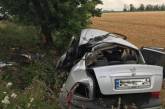 На Николаевщине Opel слетел с трассы и врезался в дерево: двое погибших