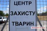 Центр защиты животных в Николаеве: «Усыпили 70 агрессивных и больных собак»