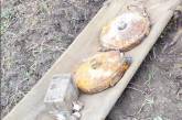 На Николаевщине мужчина в своем огороде нашел 8 боеприпасов