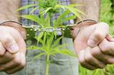 В Новой Одессе полиция задержала молодчика за сбыт марихуаны