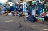 В Николаеве Херсонское шоссе утопает в мусоре