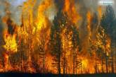 В лесах Николаевской области объявлена чрезвычайная пожарная опасность
