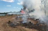 В Вознесенском районе неизвестные подожгли лес