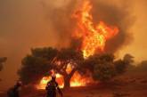 В лесных пожарах в Греции погибли 94 человека