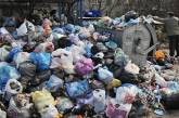 В Николаеве работники ЖЭКов сдирают с мусорных баков информацию о возчиках