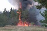 На Николаевщине возник масштабный лесной пожар