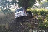 На Николаевщине Opel врезался в дерево — один погибший, один пострадавший