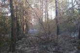 Из-за неосторожного обращения с огнем на Николаевщине тушили лес, траву и мусор