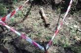 На Николаевщине пиротехники уничтожили гранатометный выстрел ПГ-7