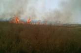 В результате поджога на Николаевщине сгорело 3 га леса