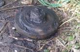 На Николаевщине в акватории Южного Буга нашли противотанковую мину