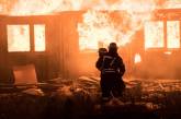 У школы в Николаеве сгорела теплица – пожарные ехали 30 минут