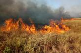 В Коблево пылал масштабный пожар сухой травы