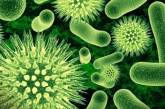 Ученые обнаружили опасные бактерии, на которые не действуют антибиотики