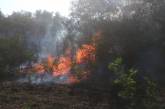 За сутки на Николаевщине огнем уничтожено почти 65 га открытых территорий
